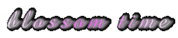 blossom time 